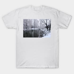 A snowy day at the park T-Shirt